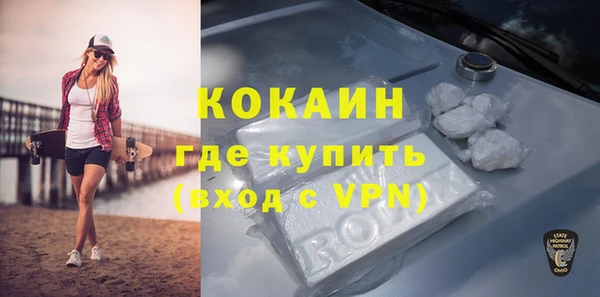 индика Абаза