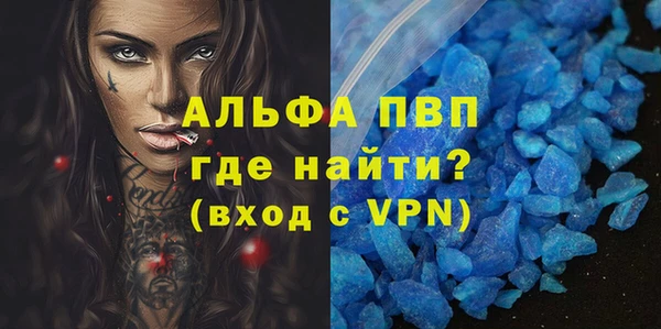индика Абаза