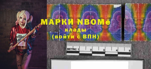 индика Абаза