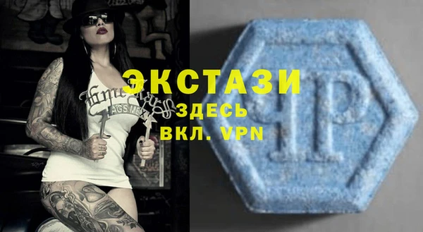 индика Абаза